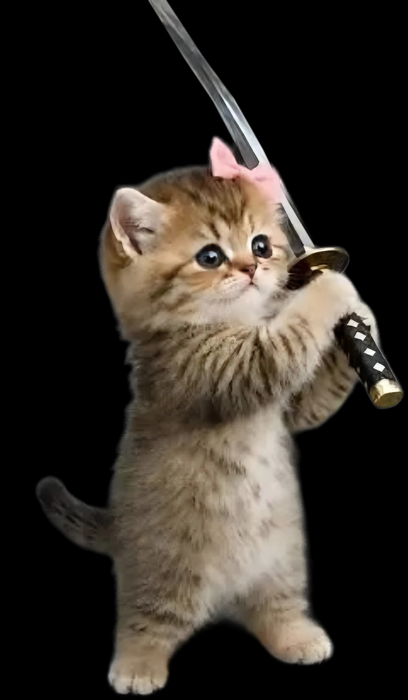 Sword Cat: a tabby kitten with a pink bow, standing on its hind legs, holding a katana